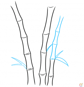 How to draw bamboo