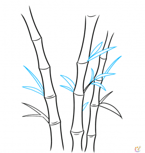 How to draw bamboo