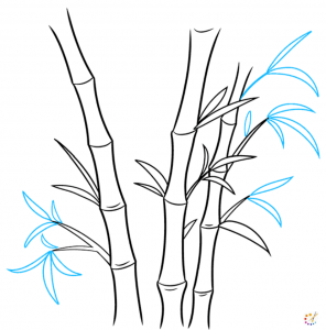 How to draw bamboo