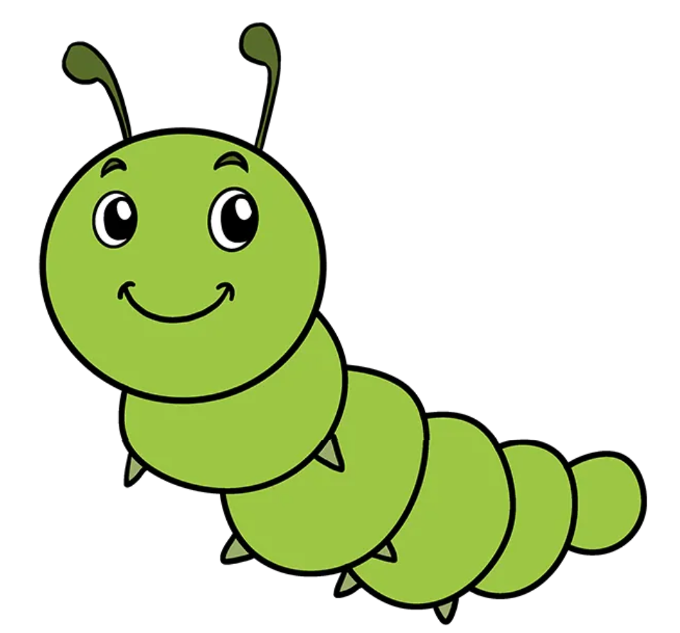 How to draw a caterpillar Step By Step – For Kids & Beginners
