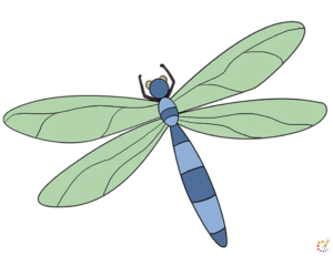 How to draw dragonfly