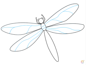 How to draw dragonfly