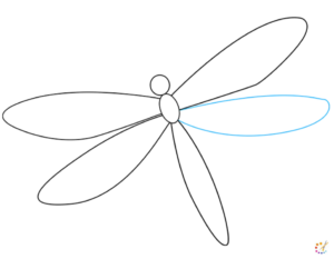 How to draw dragonfly