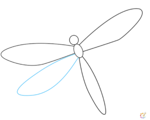 How to draw dragonfly