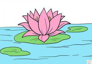 How to draw a lotus