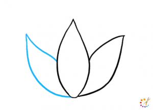 How to draw a lotus