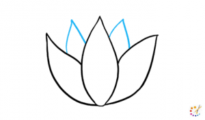 How to draw a lotus