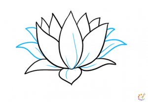 How to draw a lotus