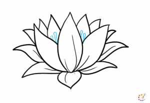 How to draw a lotus