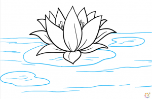 How to draw a lotus