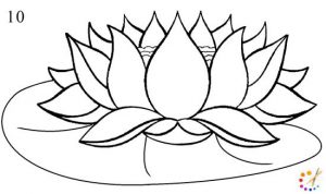 How to draw a lotus