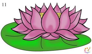 How to draw a lotus