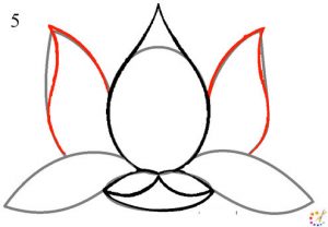 How to draw a lotus