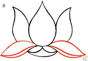 How to draw a lotus