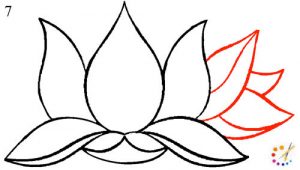 How to draw a lotus