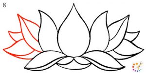 How to draw a lotus