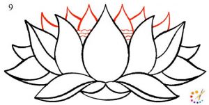 How to draw a lotus