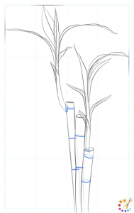 How to draw bamboo