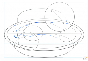 How to draw fruit