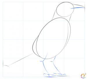 How to draw a crow