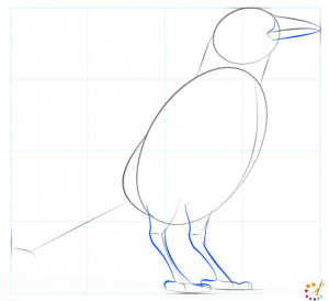 How to draw a crow