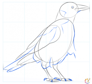 How to draw a crow