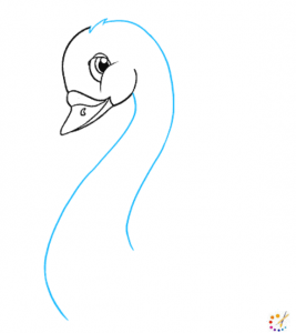 How to draw a swan