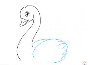 How to draw a swan