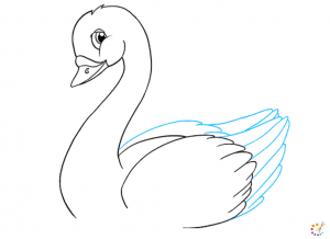 How to draw a swan