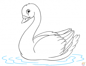 How to draw a swan