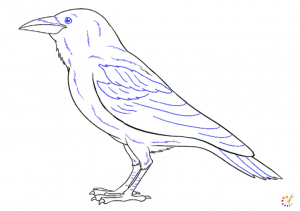 How to draw crow