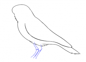 How to draw a crow