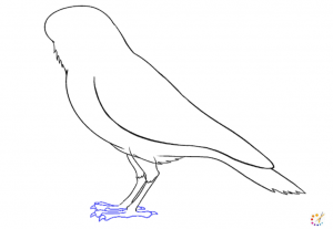 How to draw a crow