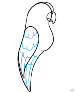 How to draw Parrot