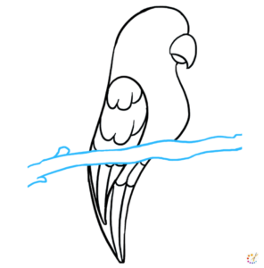 How to draw Parrot