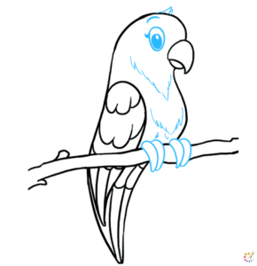 How to draw Parrot