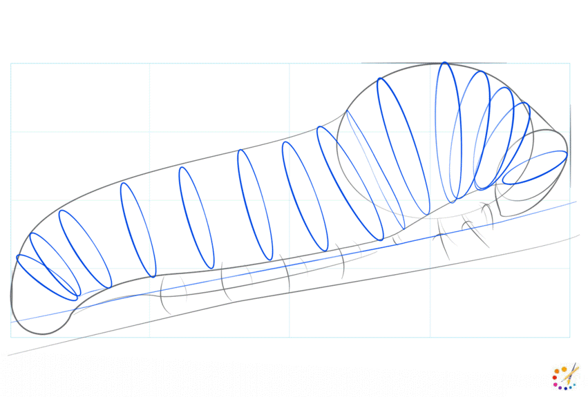 How to draw caterpillar