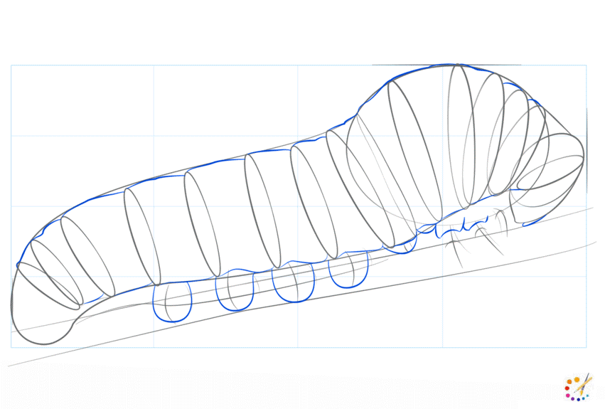 How to draw caterpillar