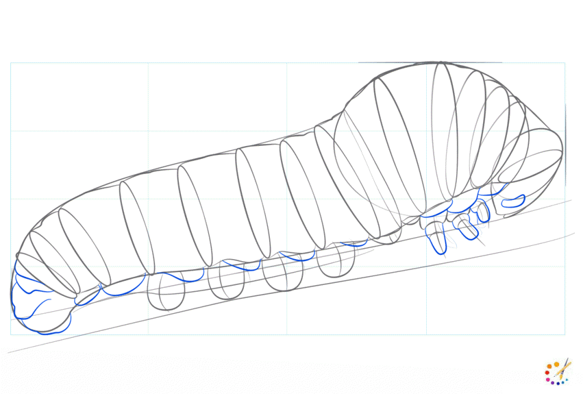 How to draw caterpillar