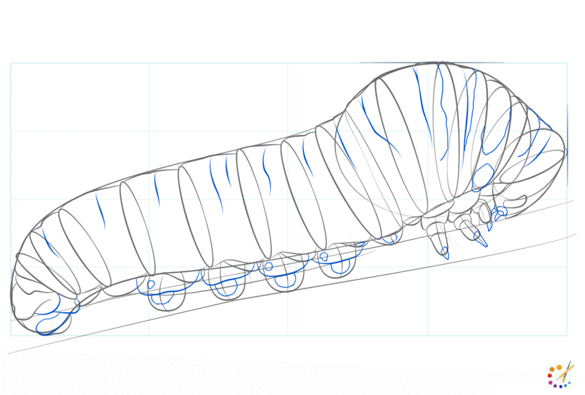 How to draw caterpillar