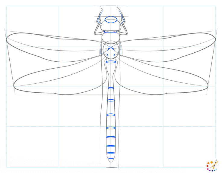 How to draw dragonfly