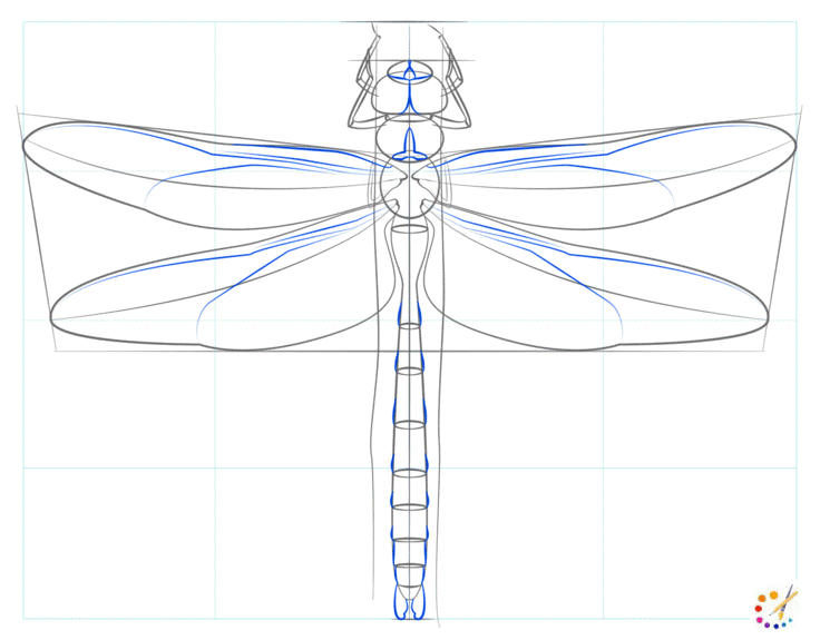 How to draw dragonfly