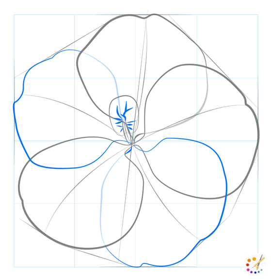 How to draw hibiscus