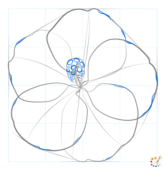 How to draw hibiscus