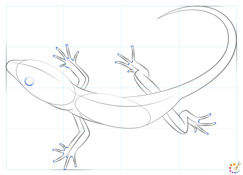 How to draw lizard