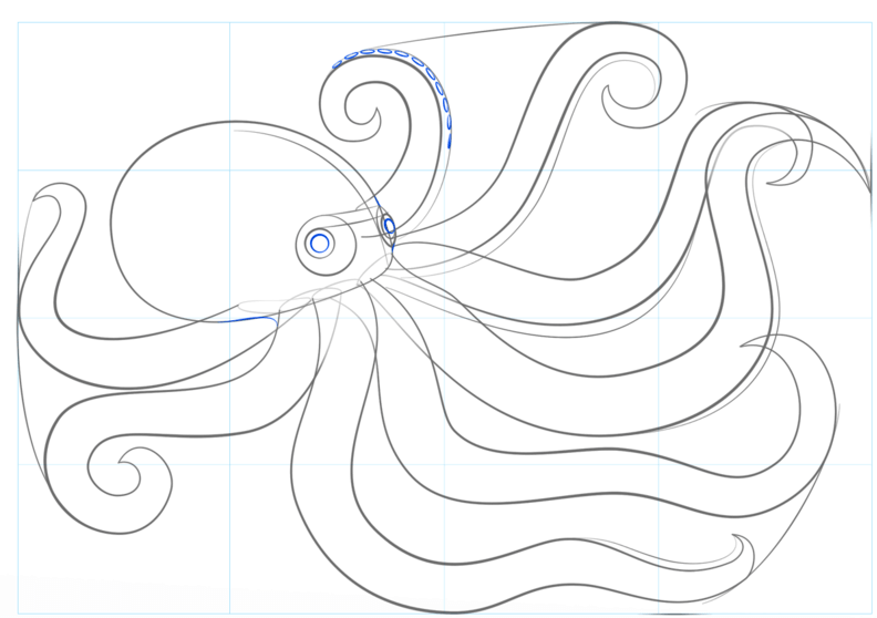 How to draw octopus