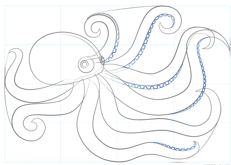 How to draw octopus