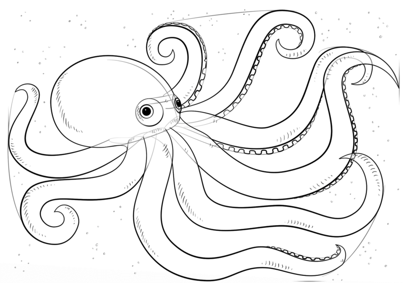 How to draw octopus