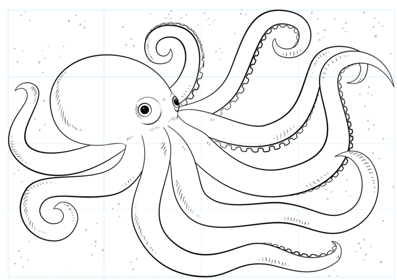 How to draw octopus