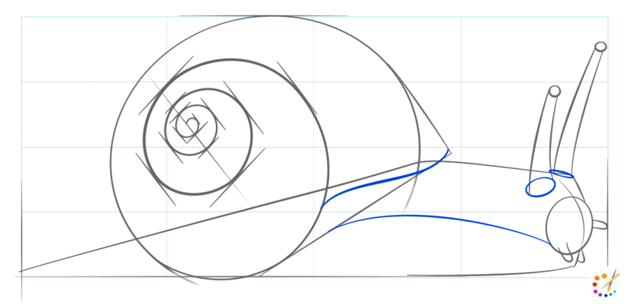 How to draw snail